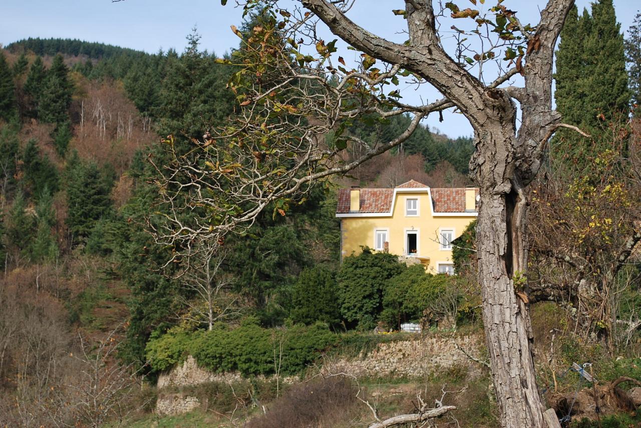 Vue du chemin d'accès