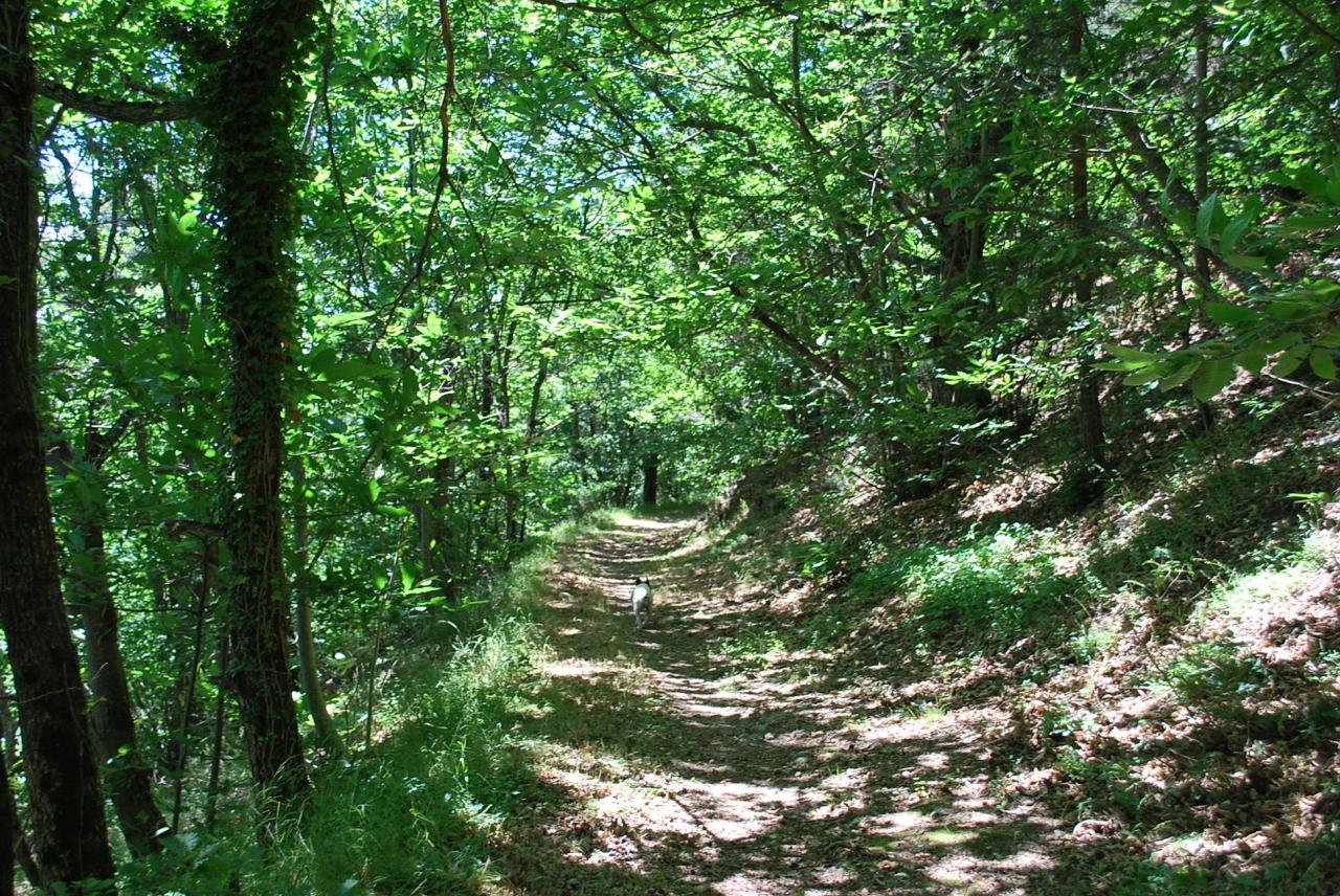 Paysage des environs proches