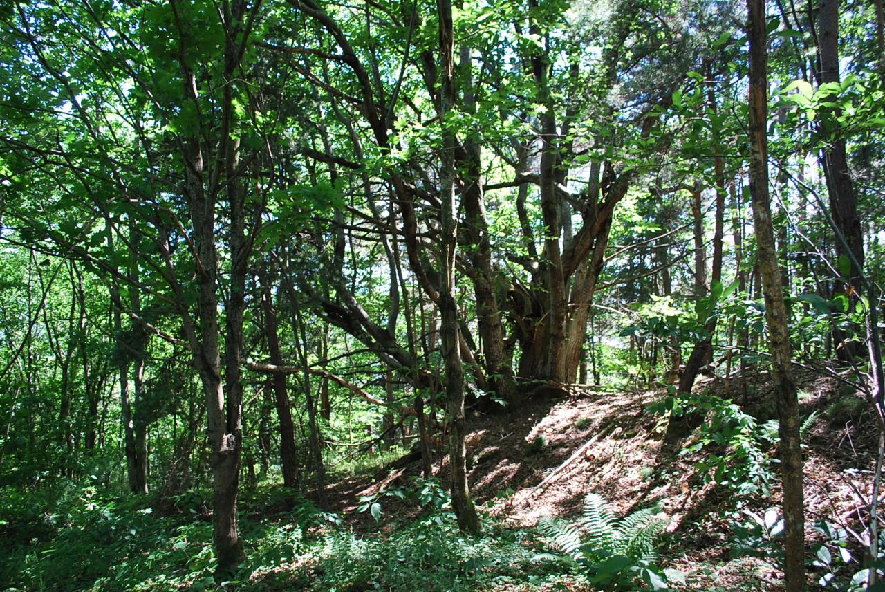 Paysage des environs proches