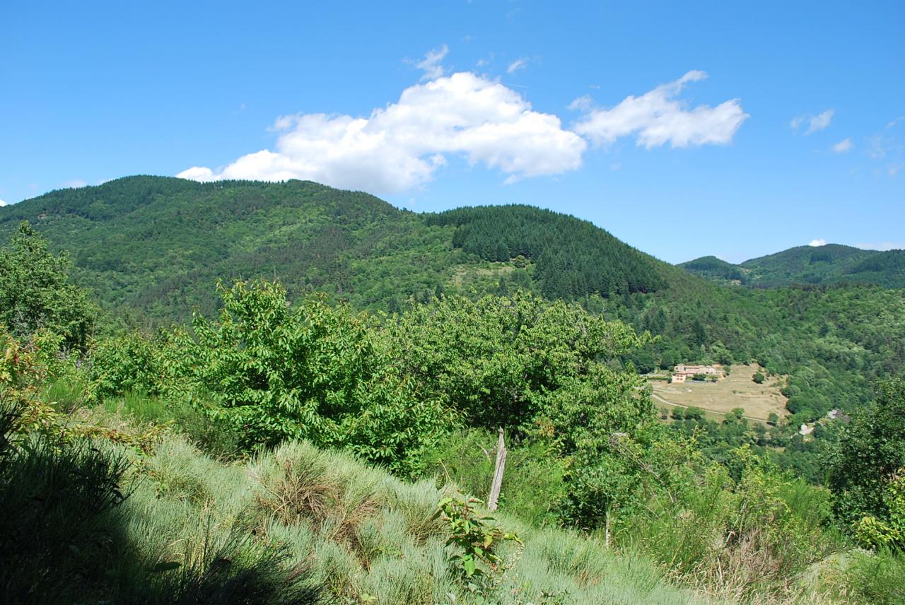 Paysage des environs proches